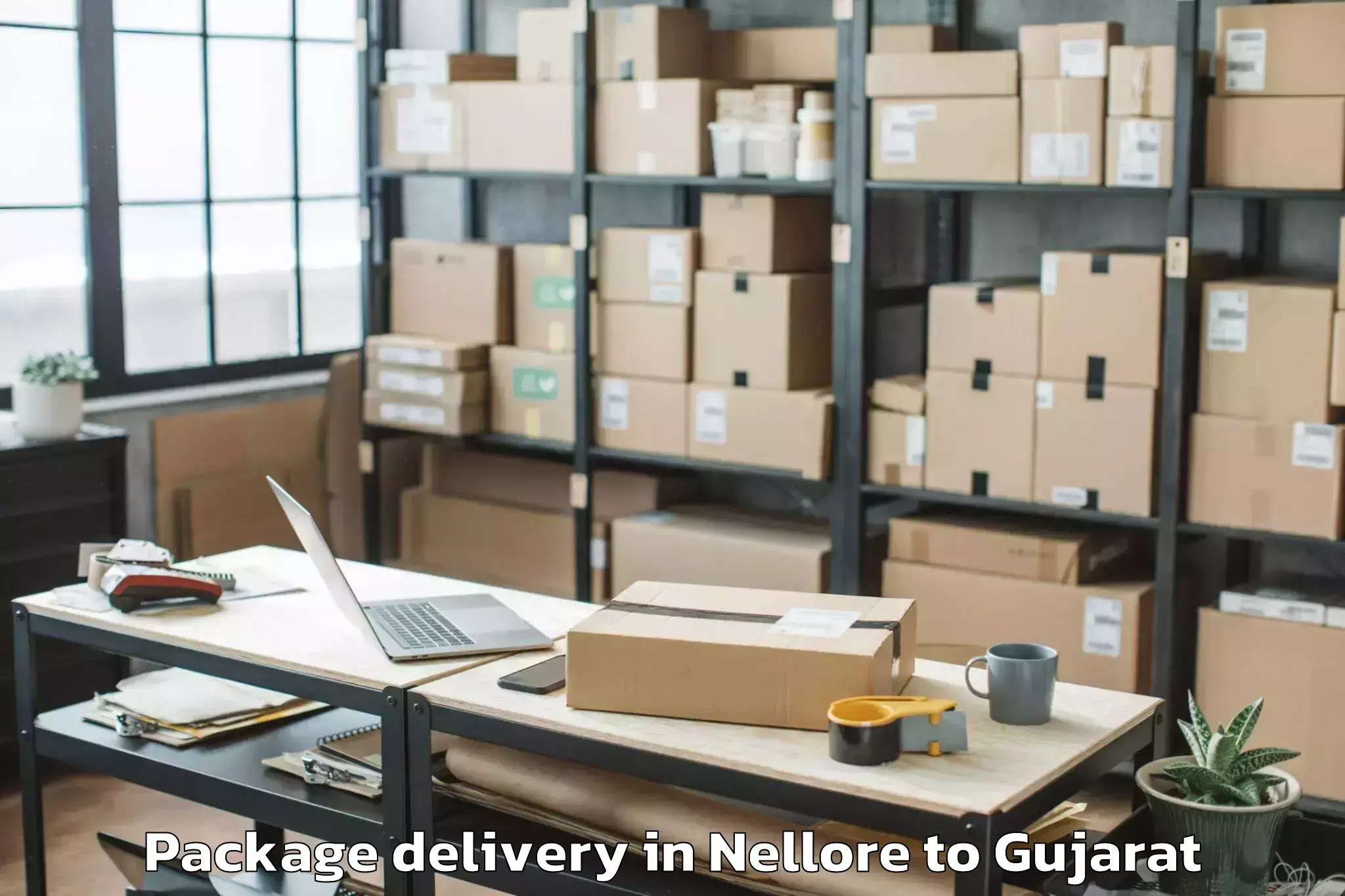 Easy Nellore to Mehsana Package Delivery Booking